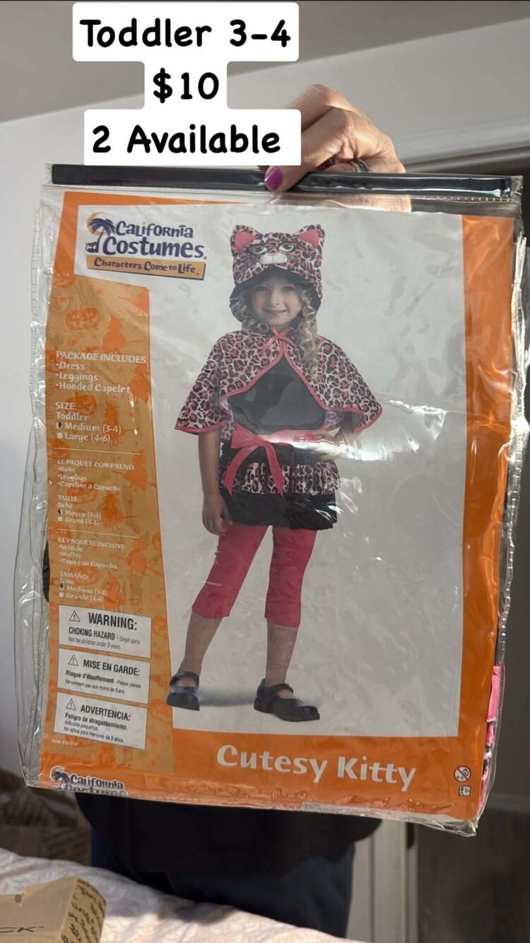 California Costumes Cutesy Kitty Toddler 3-4 Halloween Costume NIP